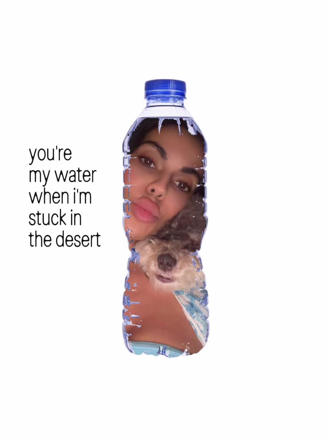 @Farnaz