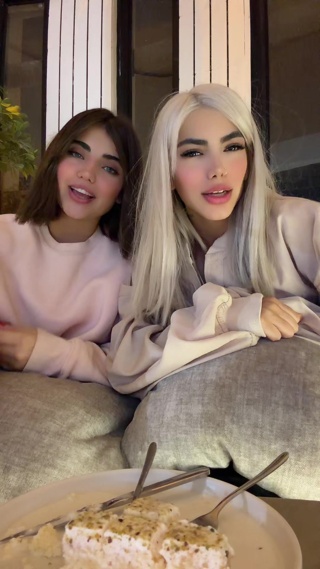@manashakibi