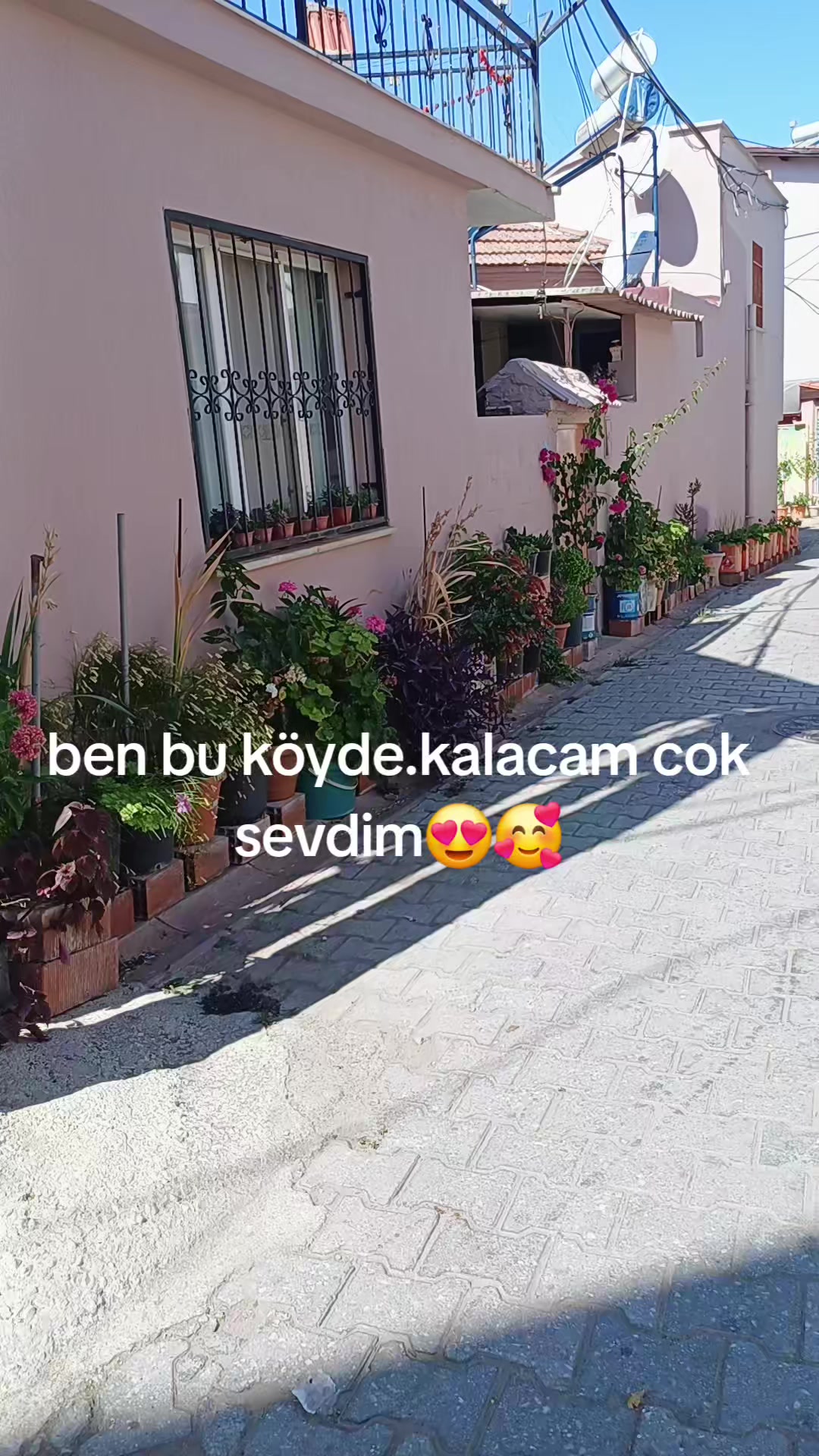 @yaseminsal