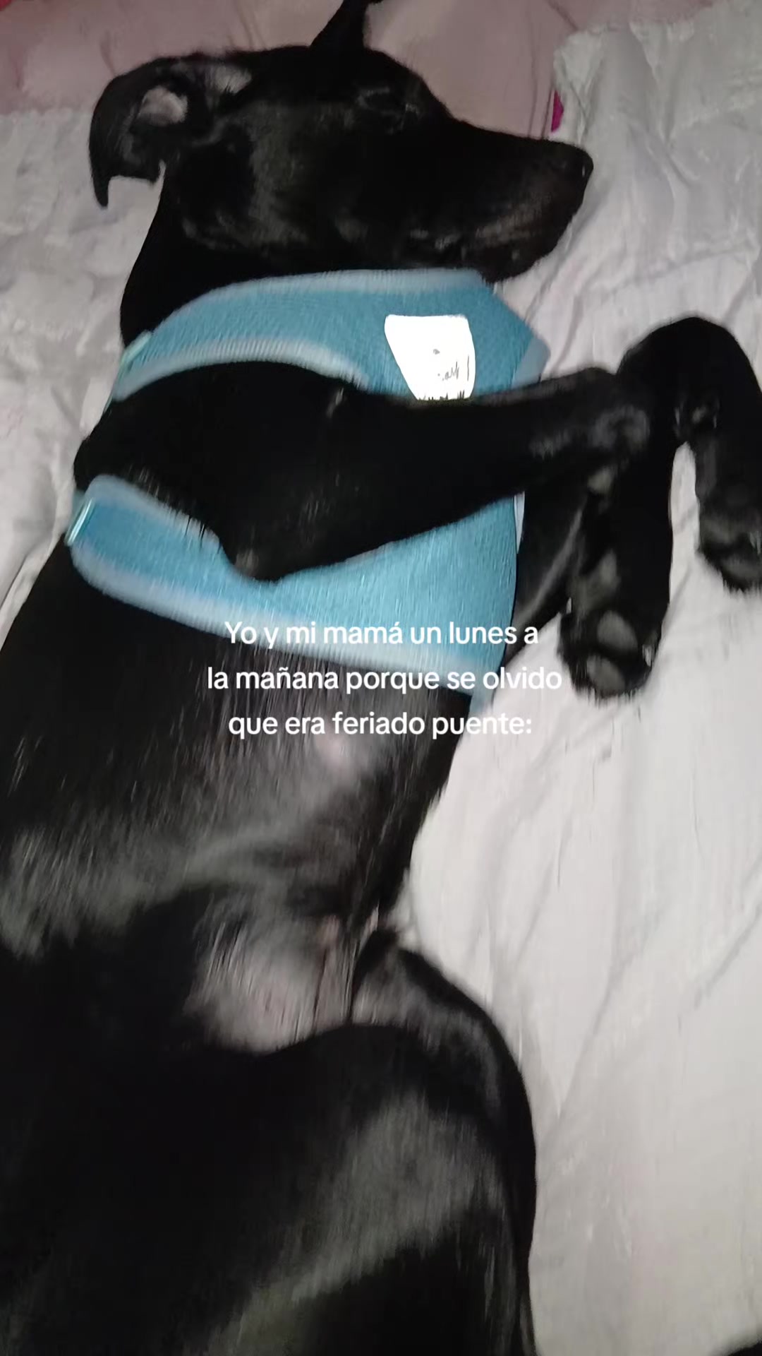 @Nina ☾☆°❀⋆