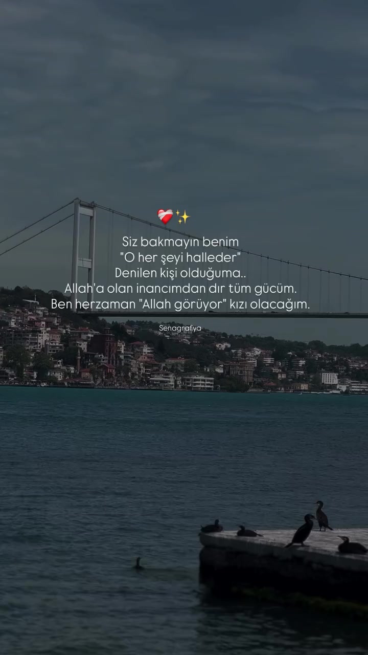 @Seda