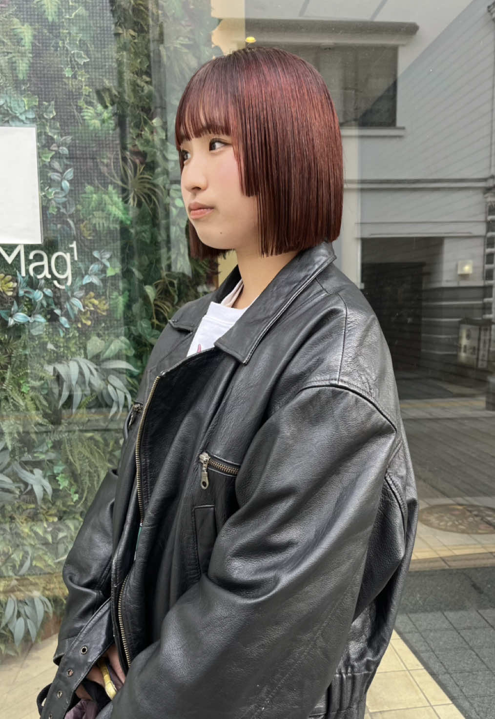 @momoca