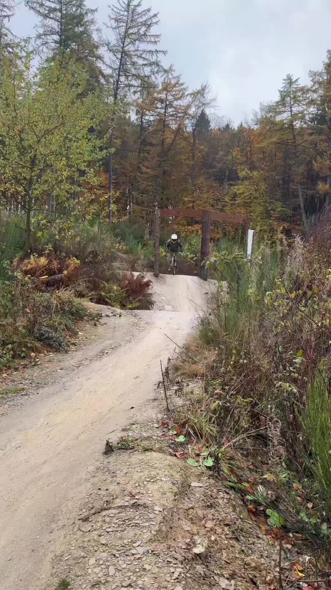 @Lasse.Freeride†