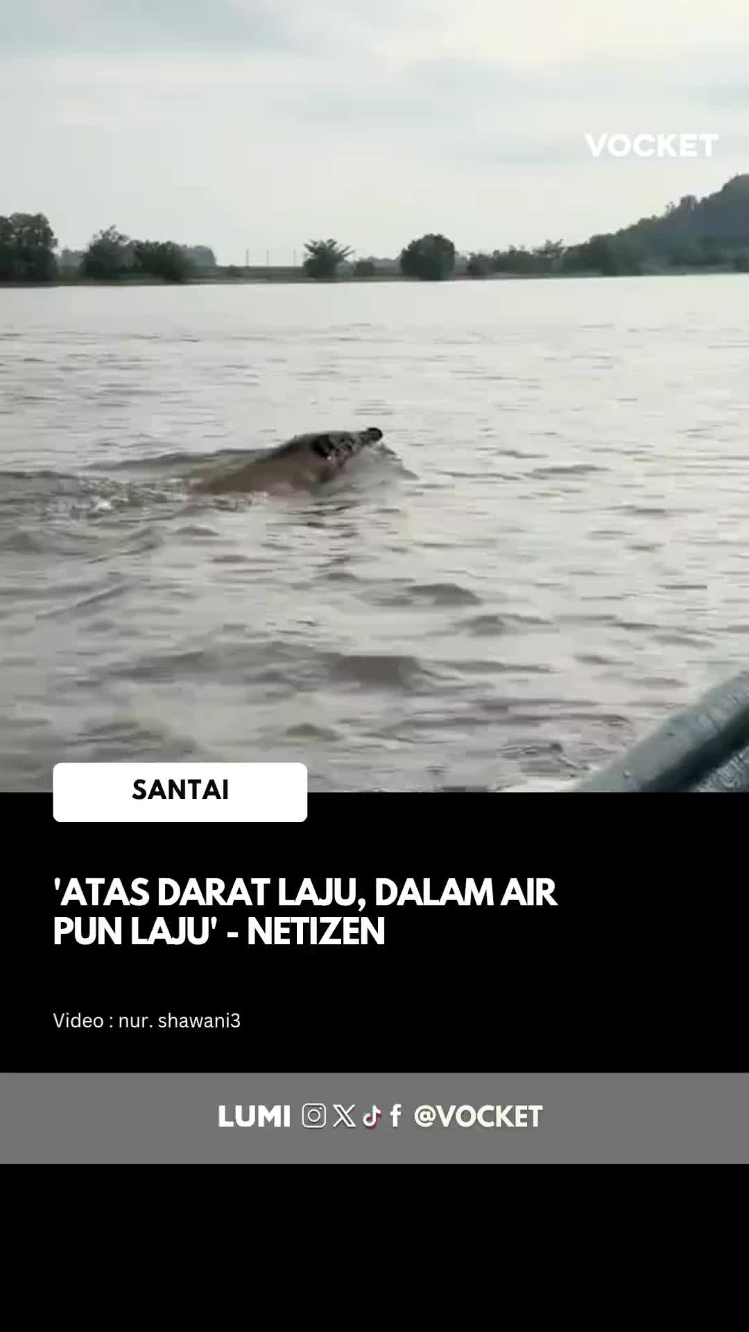 @vocket