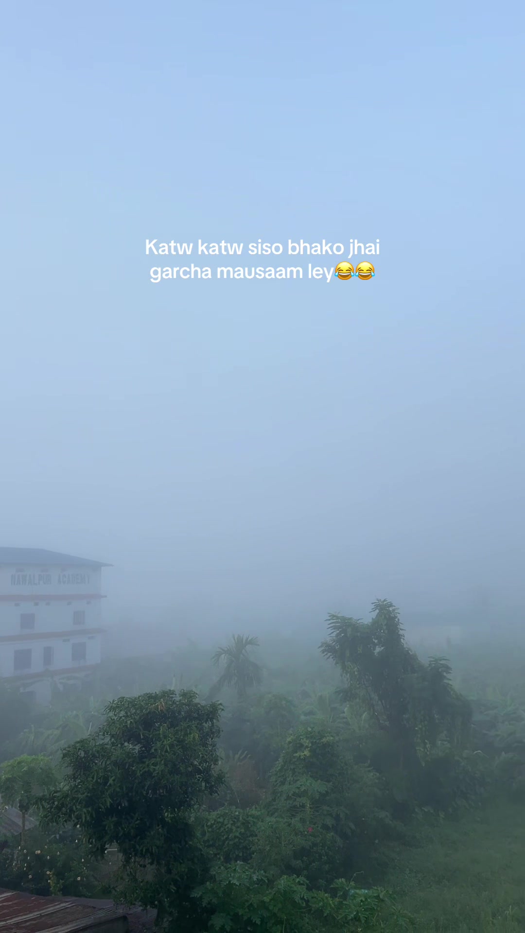 @syanu🤍