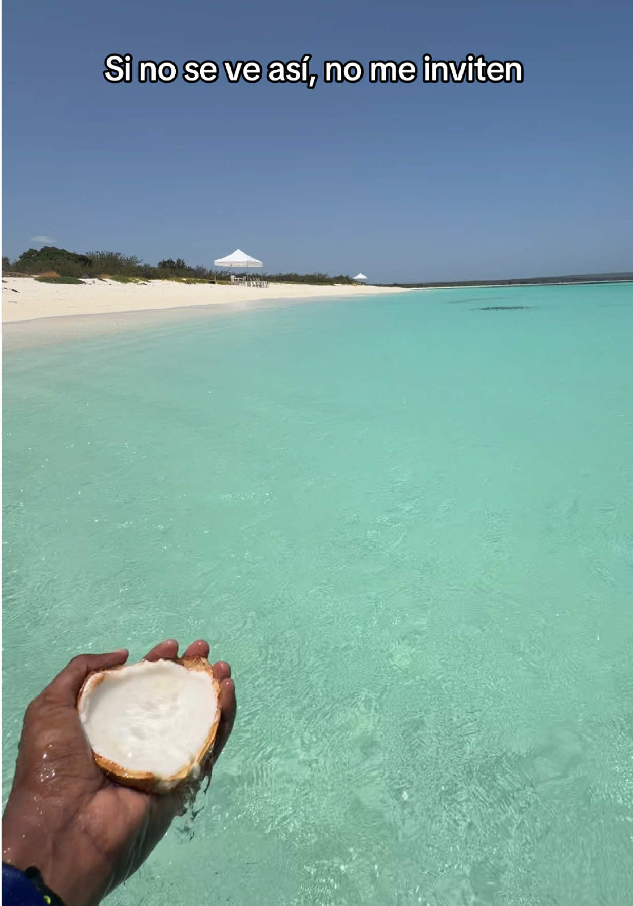 @Carlos Torres | Turismo 🇩🇴