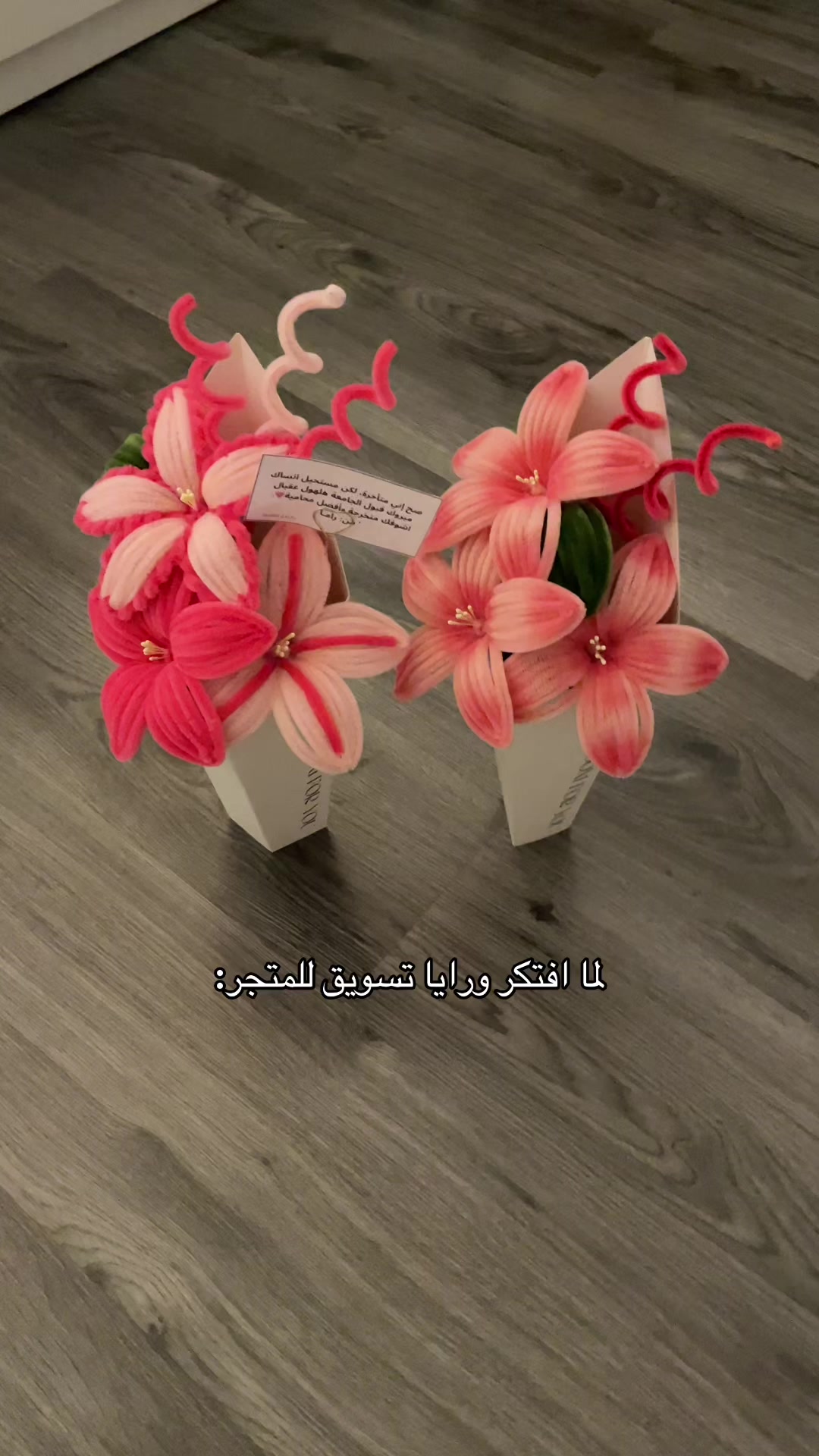 @joie lily ❀