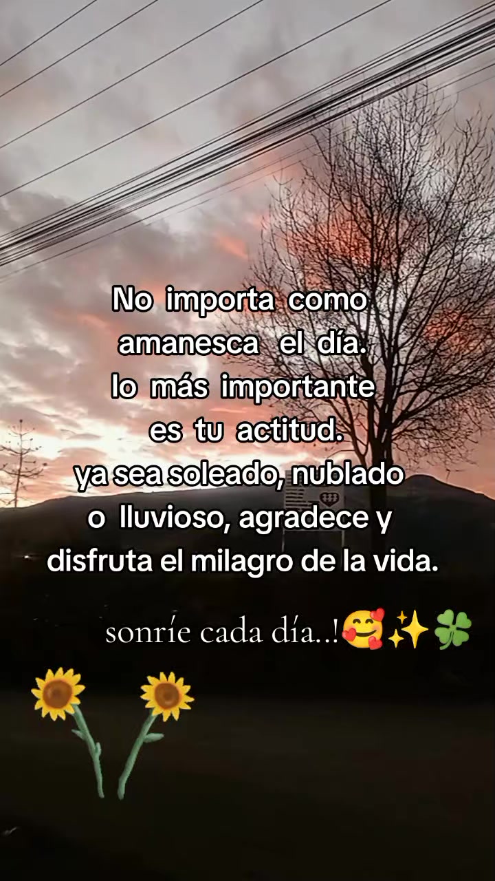 @🌻⚡♌