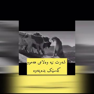 @𝗛𝗲𝗹𝗴𝘂𝗿𝗗 𝗞𝘂𝗿𝗗𝗶 ✪