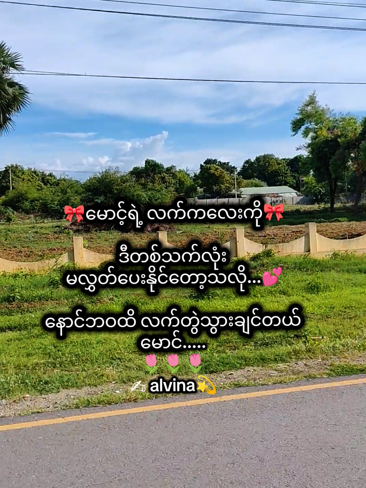 @🇯🇵 Alvina💫(အယ်ဗီနာ)💫🇯🇵