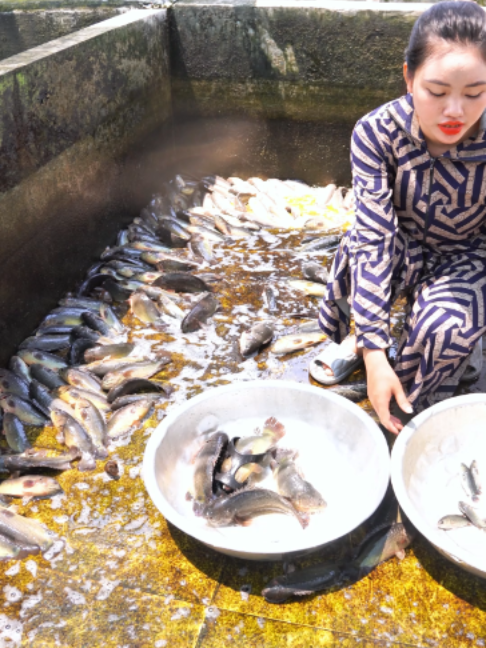 @Trại Cá Giống Quang Lâm