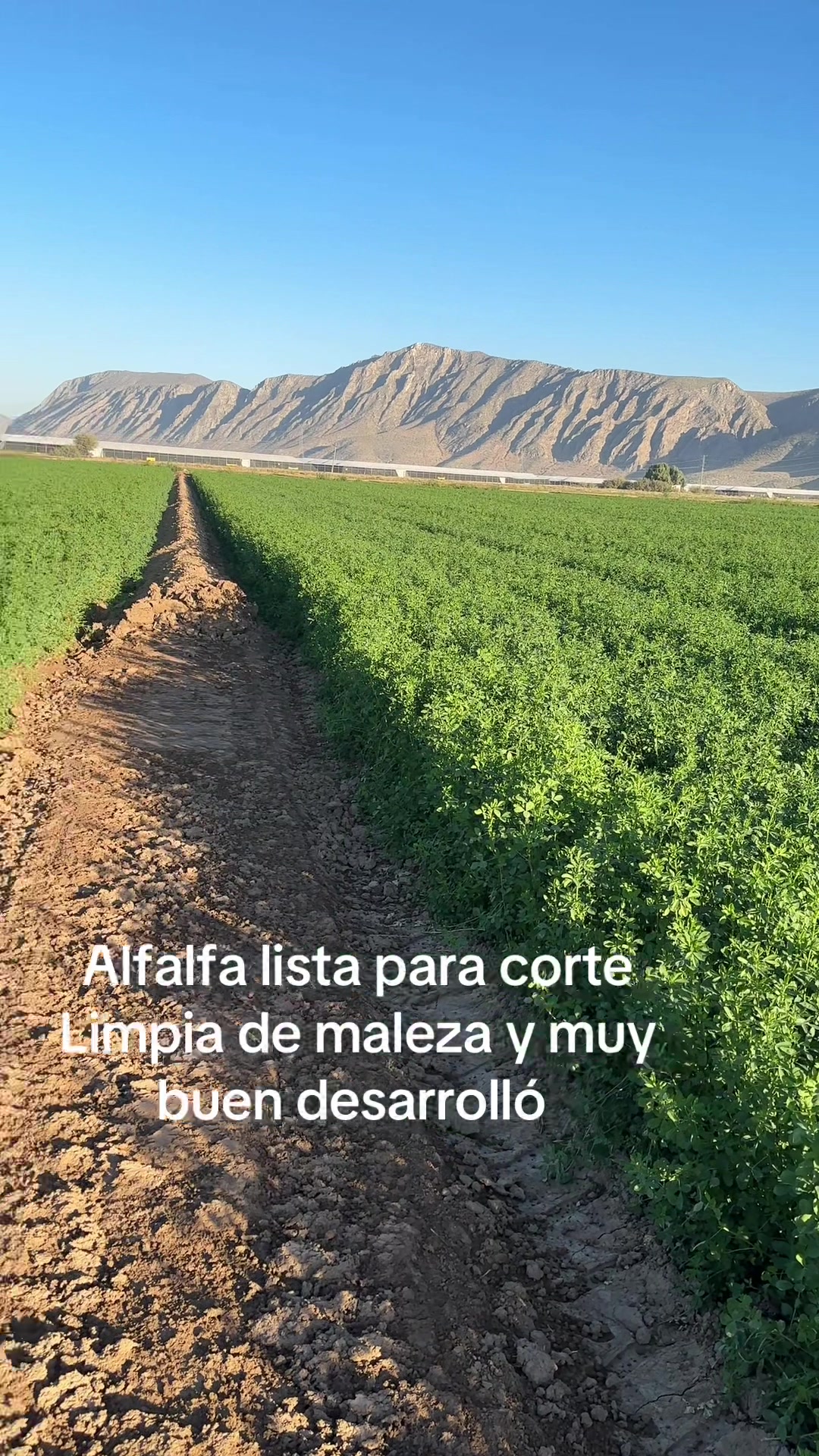 @Pablo Villarreal