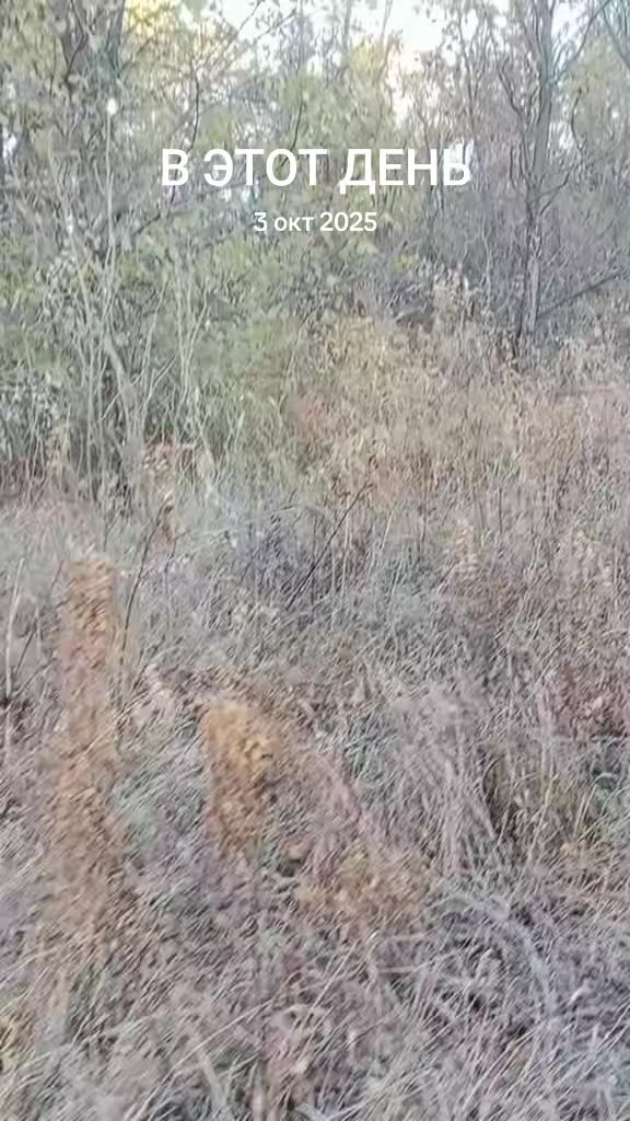 @Николай