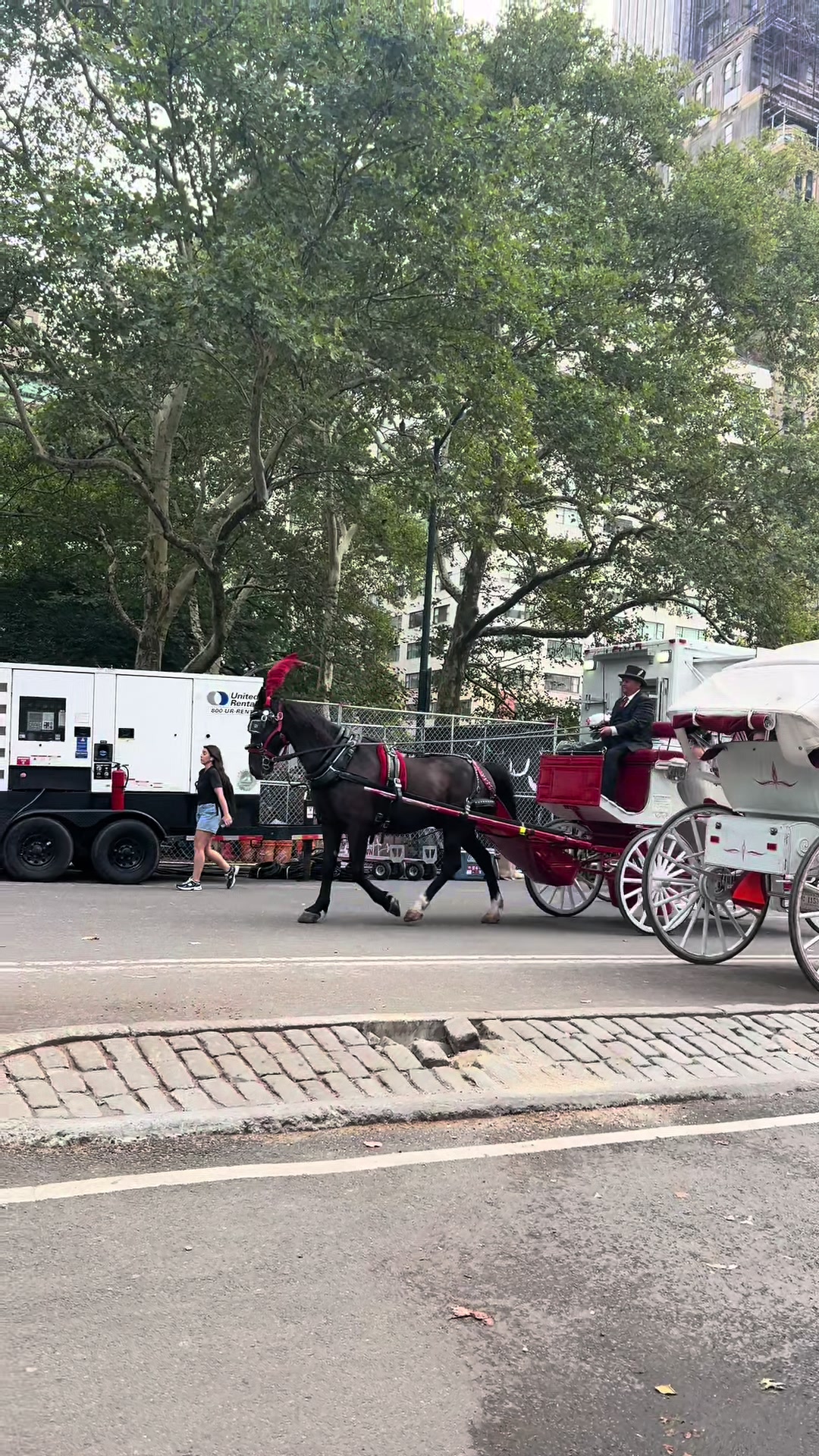 @OP Singh From Manhattan NYC