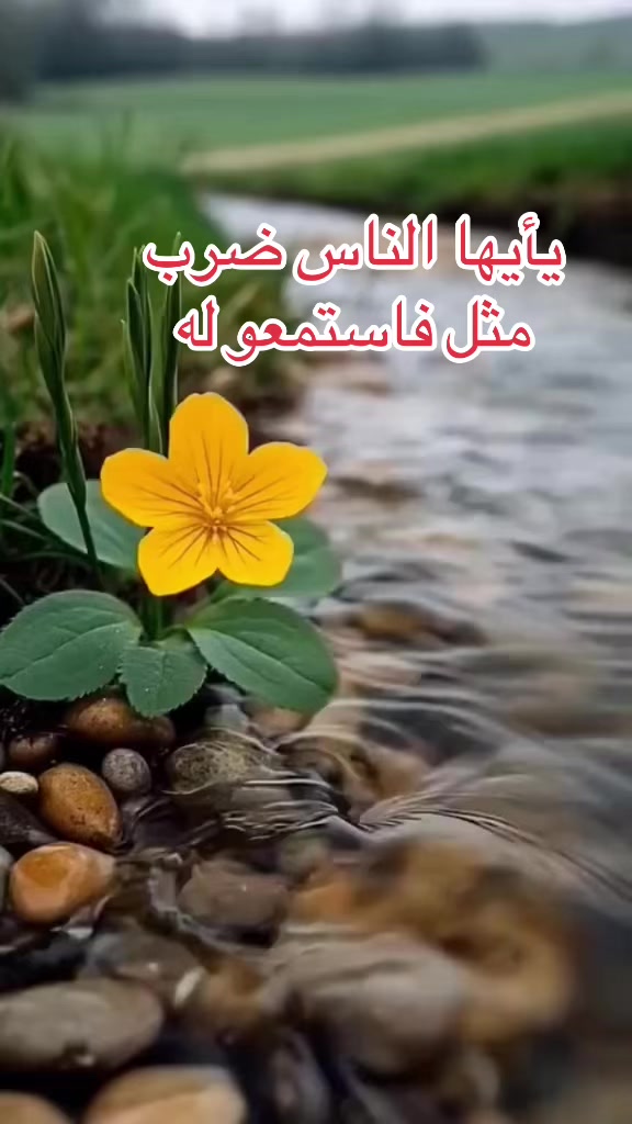 @تغطيات صقر_101