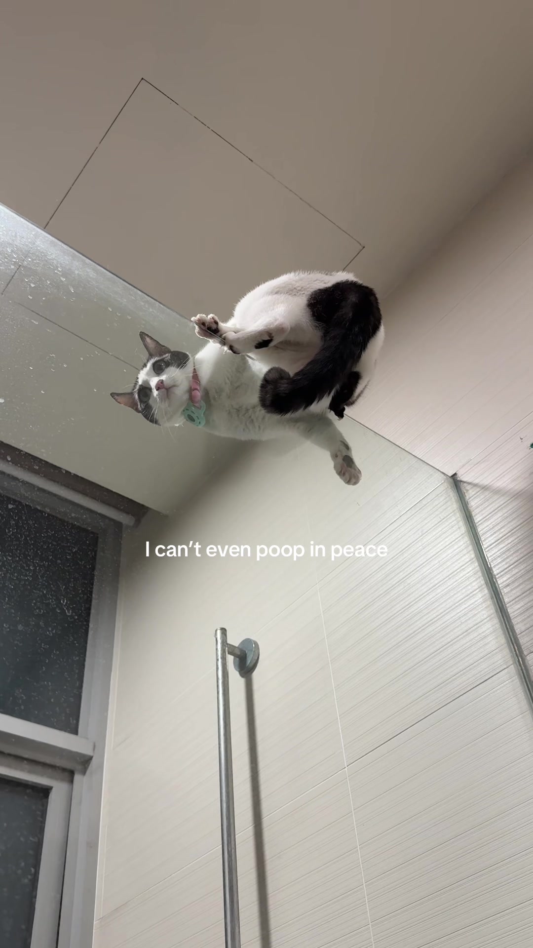 @Boobooraw
