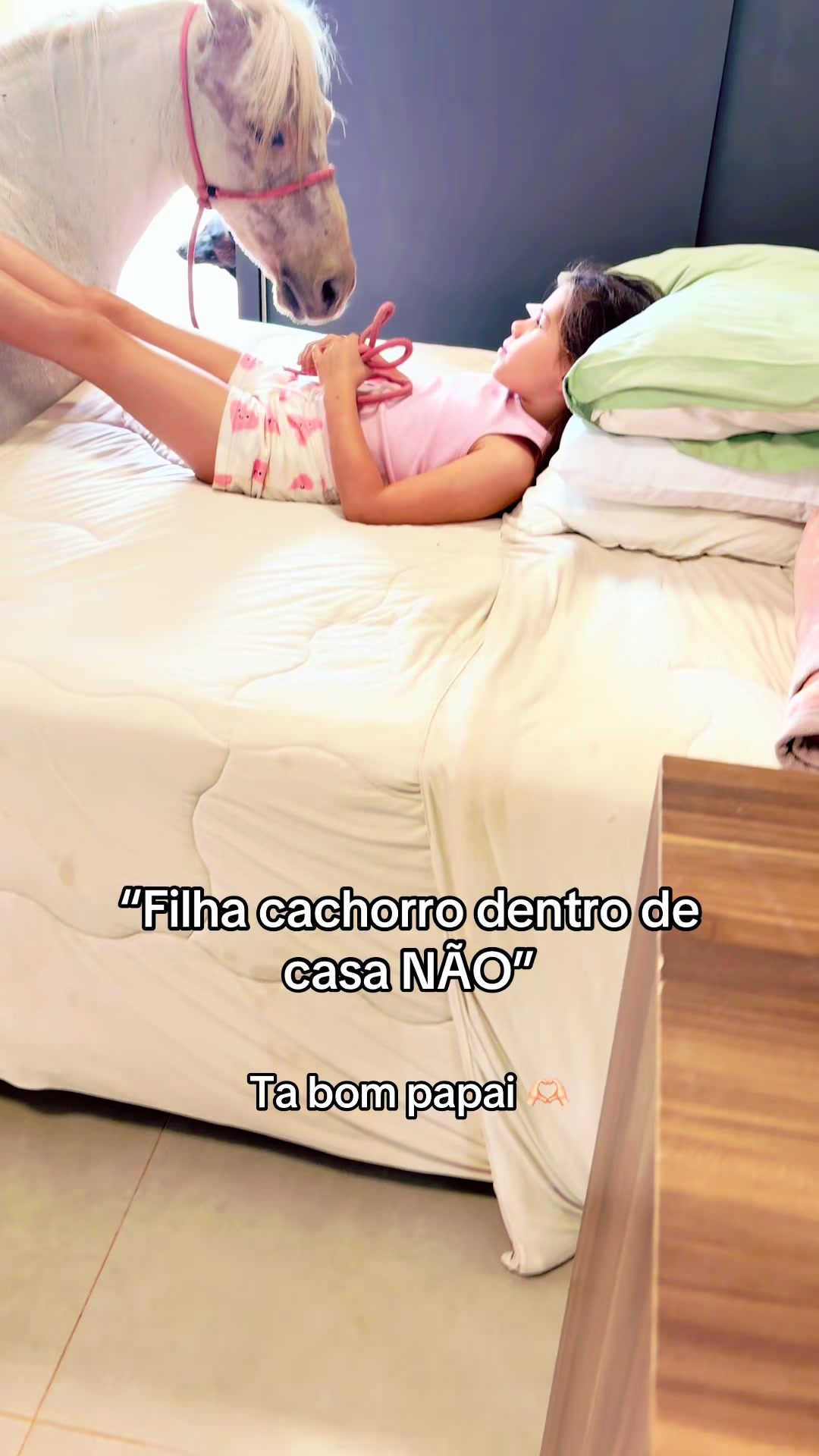 @HENRIQUE FAVARETTO