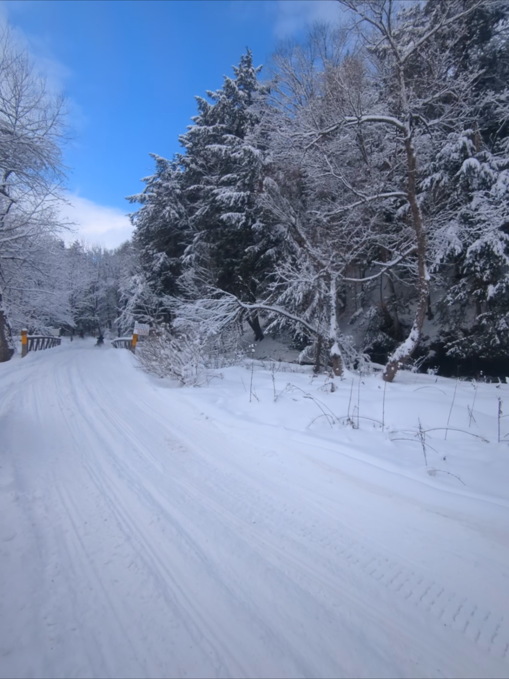 @NYsnowmobile