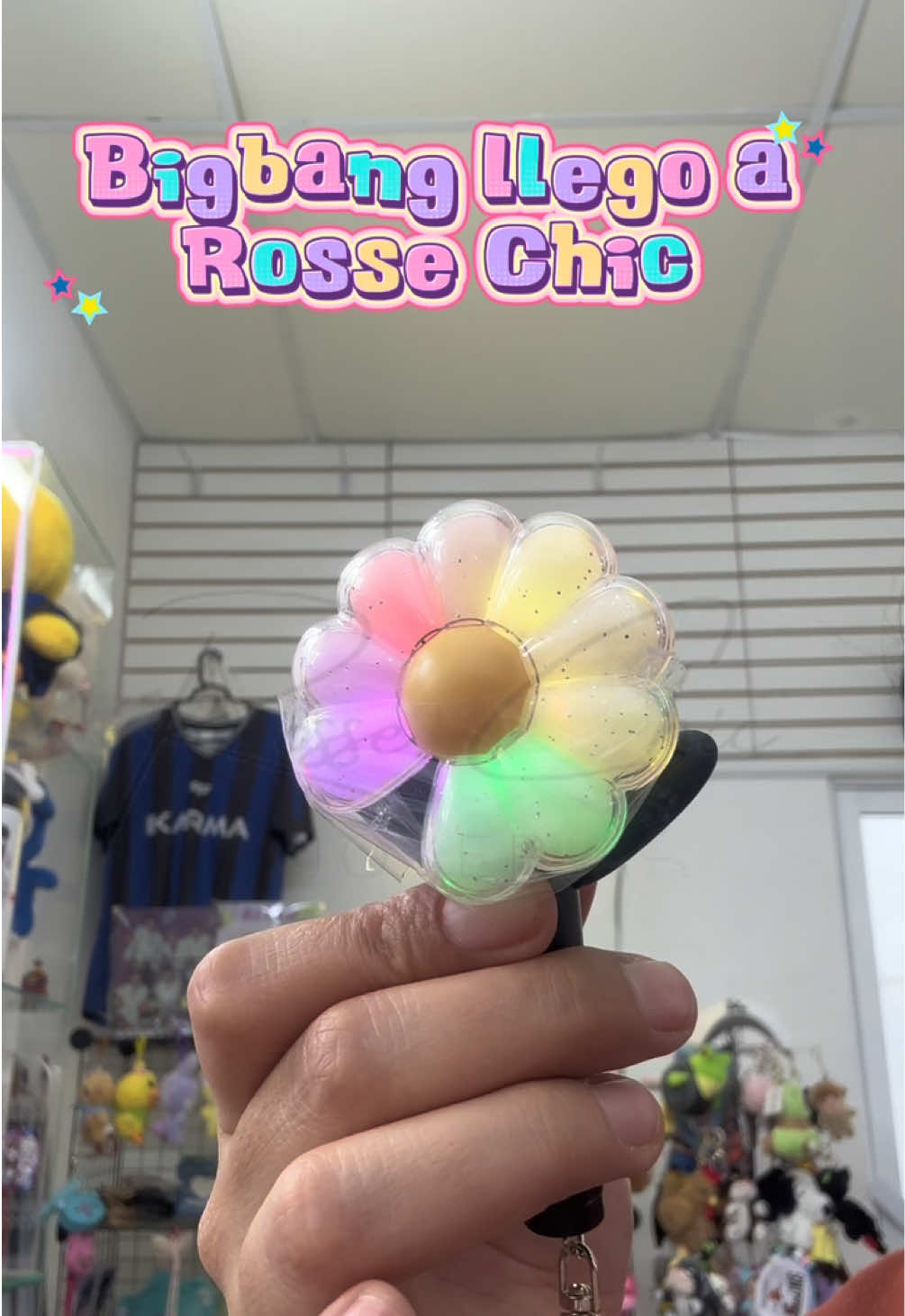 @Rosse Chic