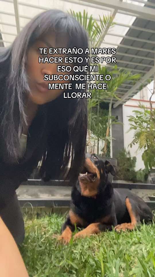 @jenvvxyz