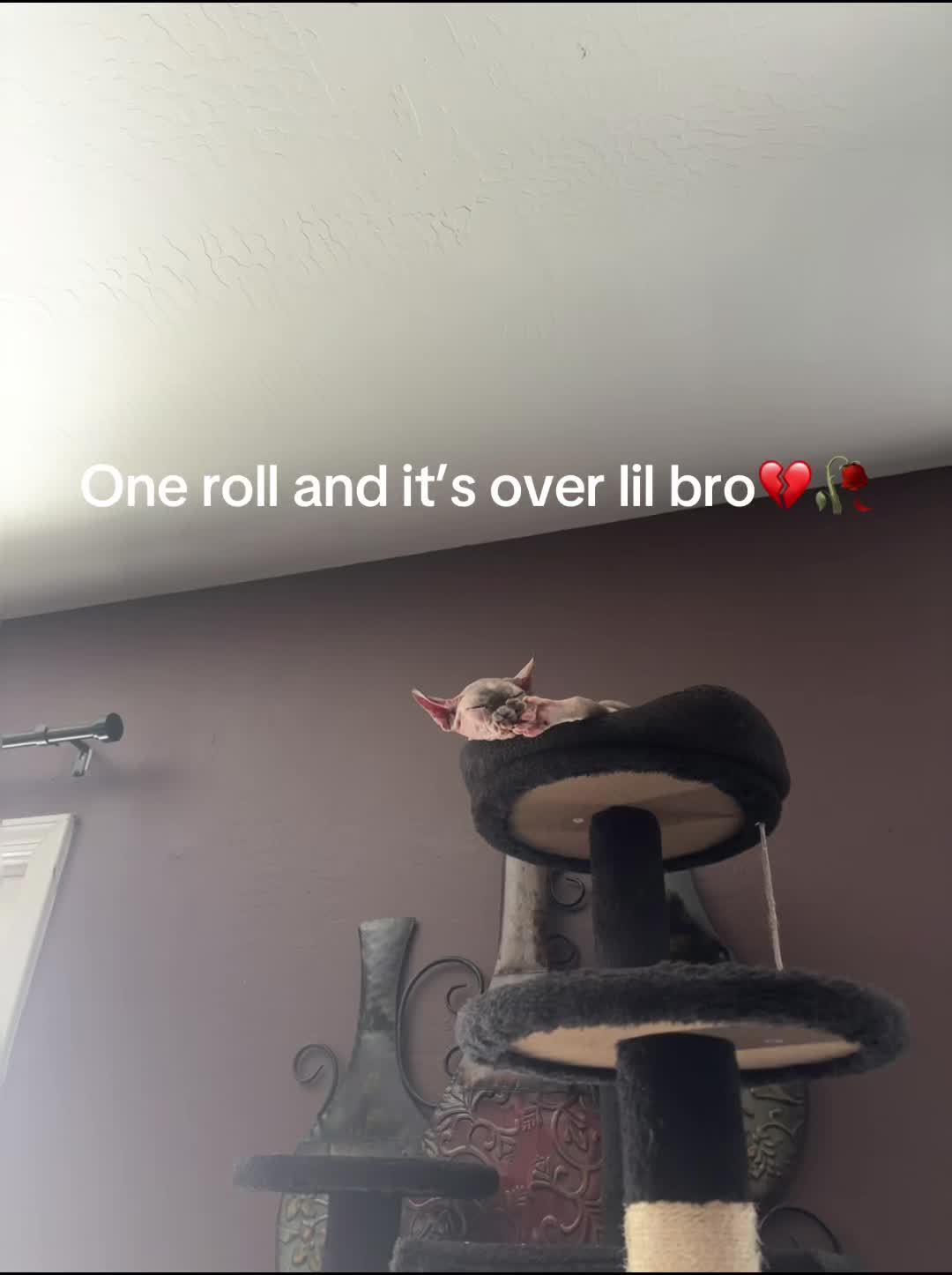 @leo_garcia091