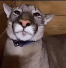 @Ivan 63 🌈🌈🌈
