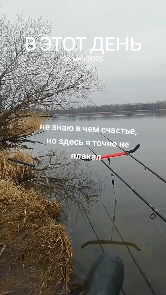 @рыб@чок