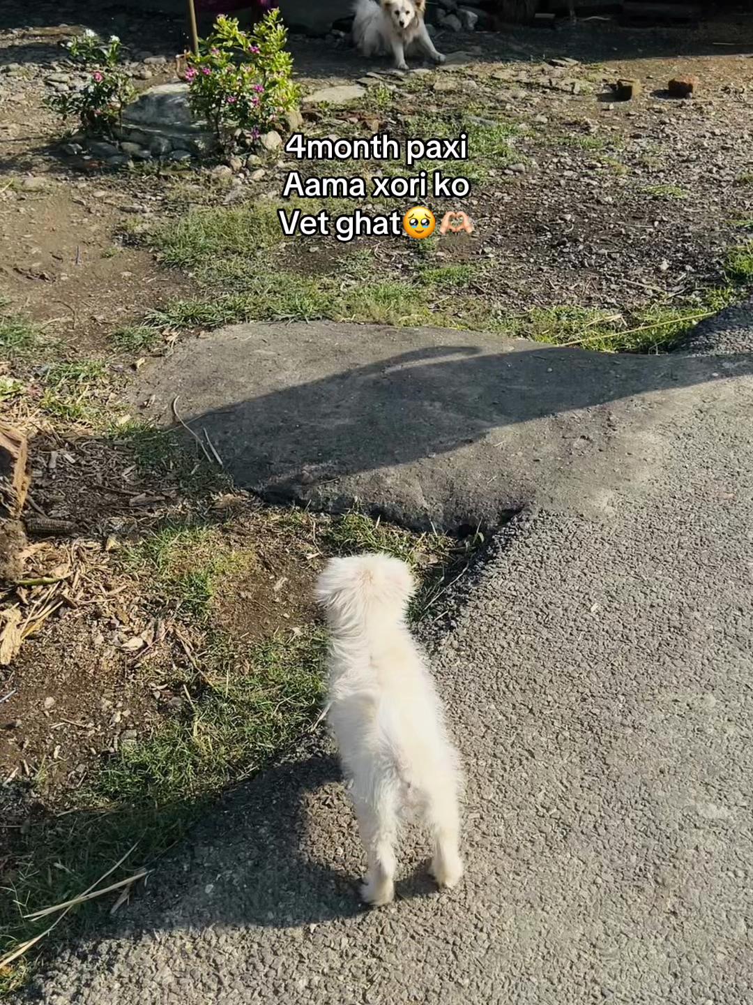 @Luna 