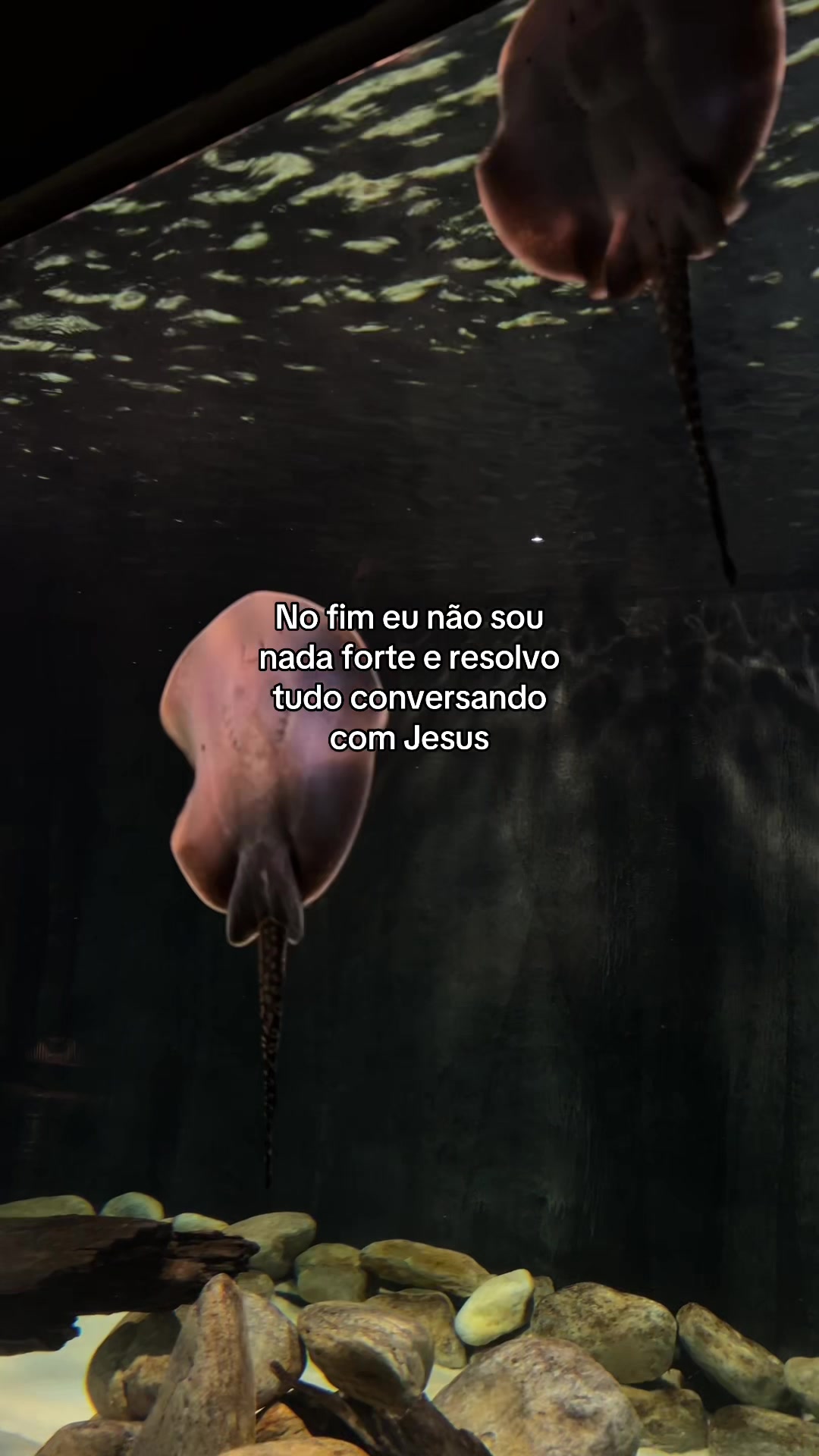 @modic28