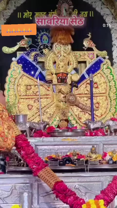@RJ 18 wale Saini 009 🇮🇳🇮🇱