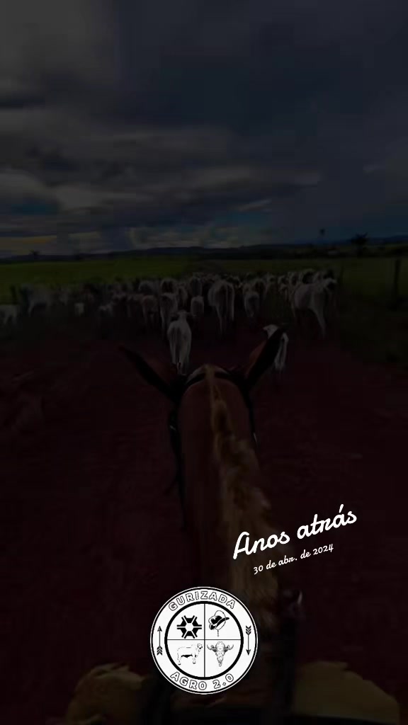 @gurizadadoagro2.0