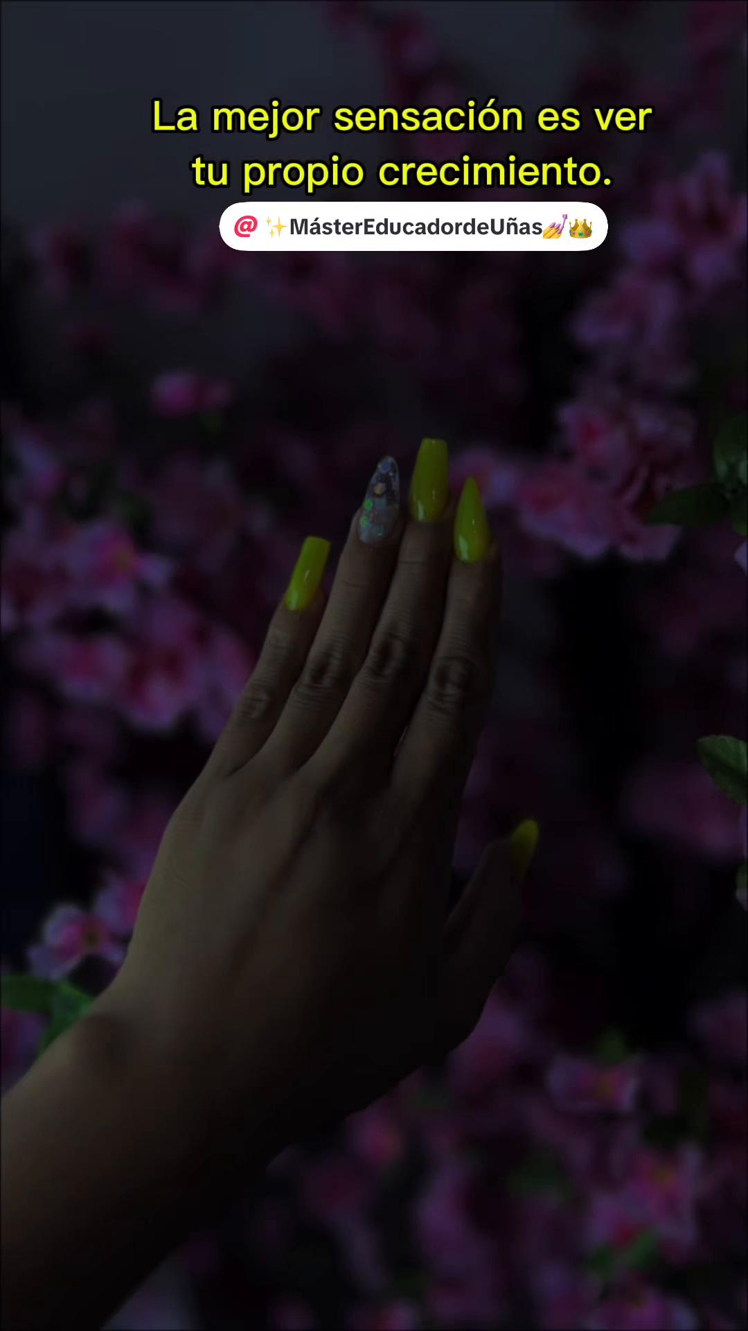 @NailsystemCR7