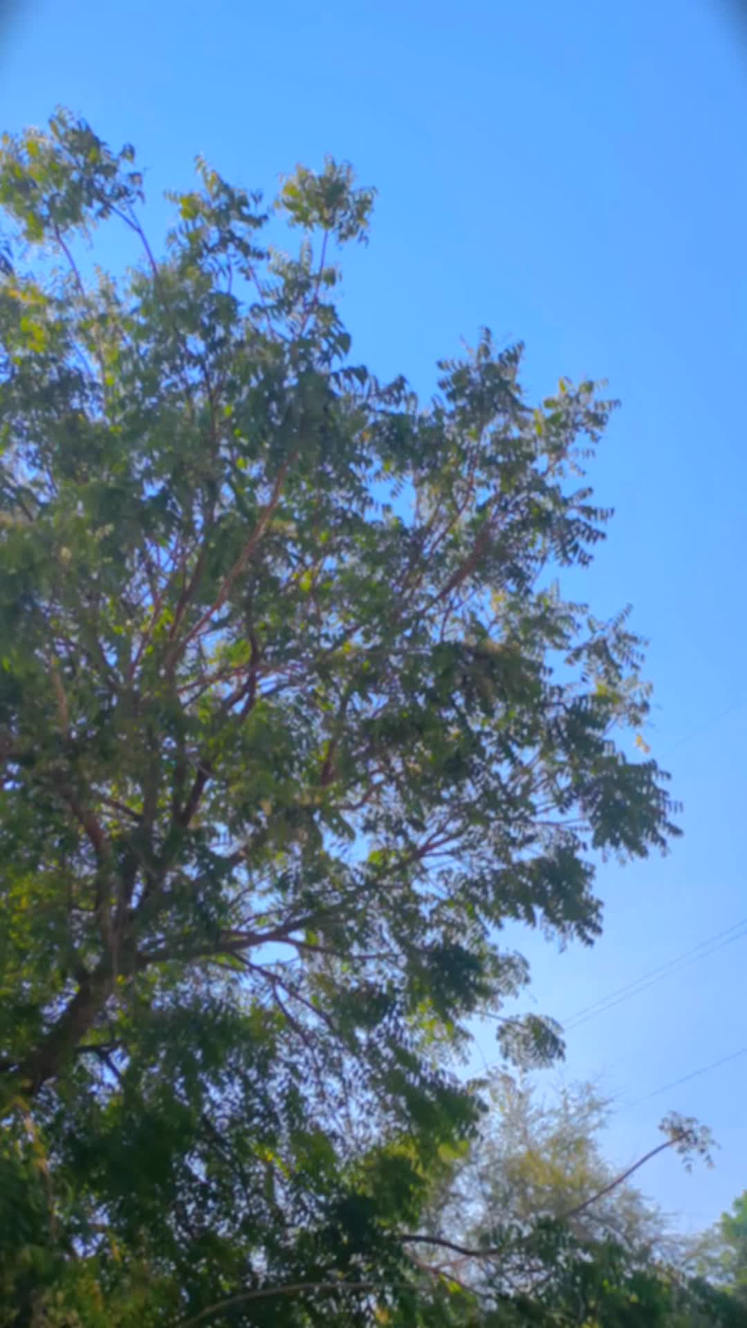 @⚡محسن خان⚡