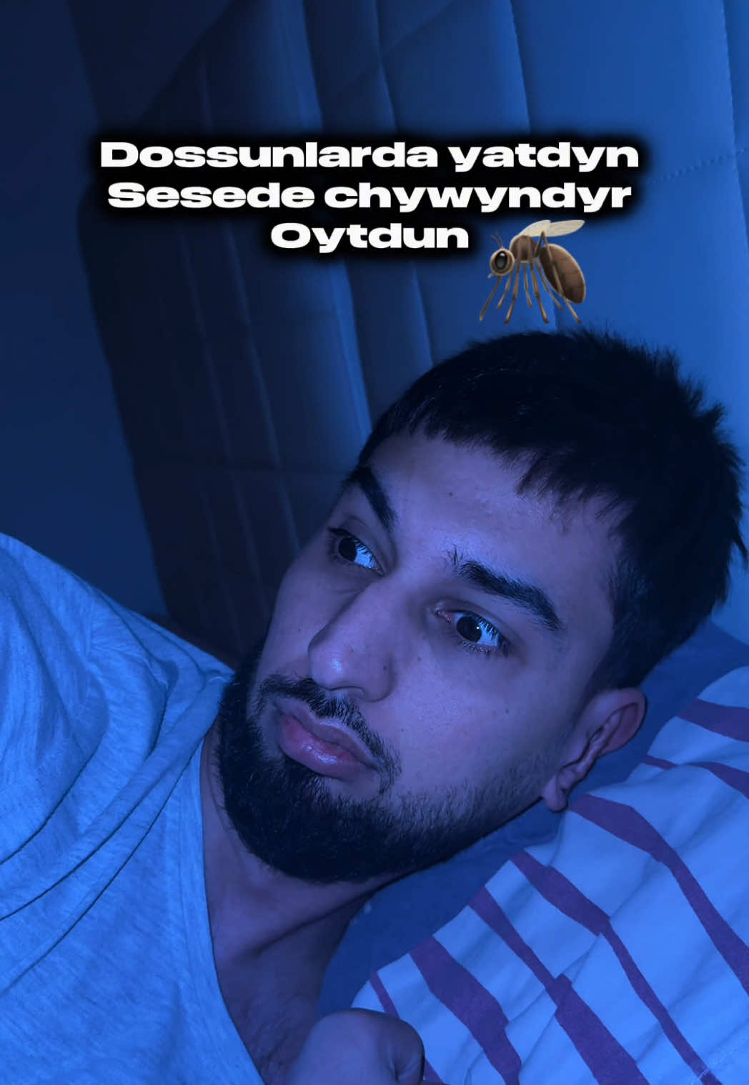 @𝗔𝗩𝗗𝗬