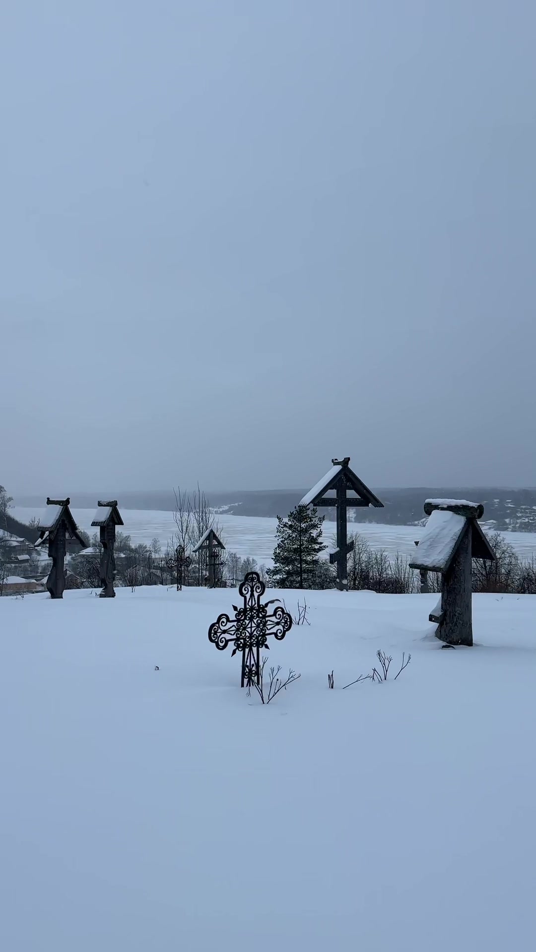 @Вероника →