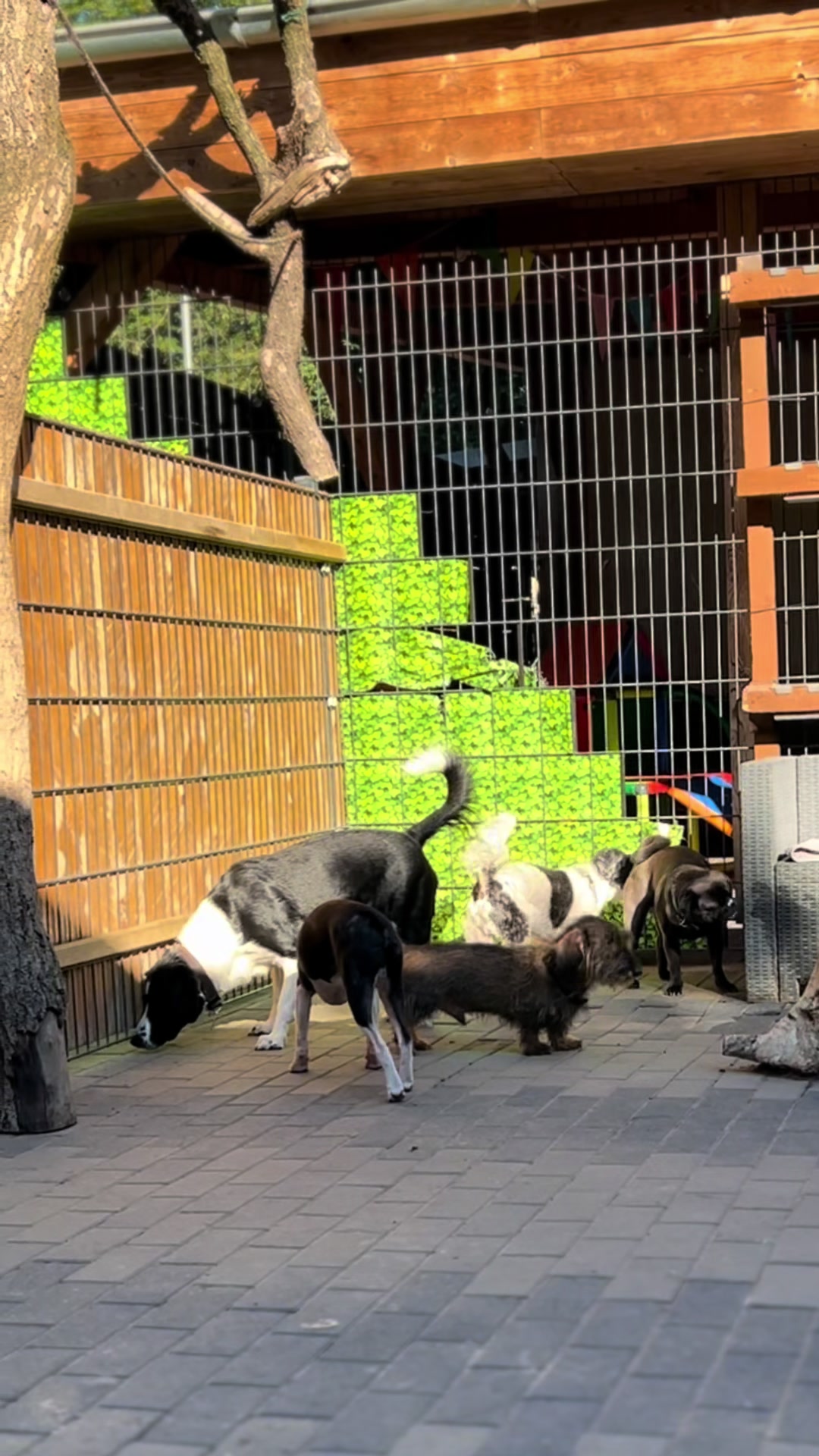 @Hunde- und Katzenpension