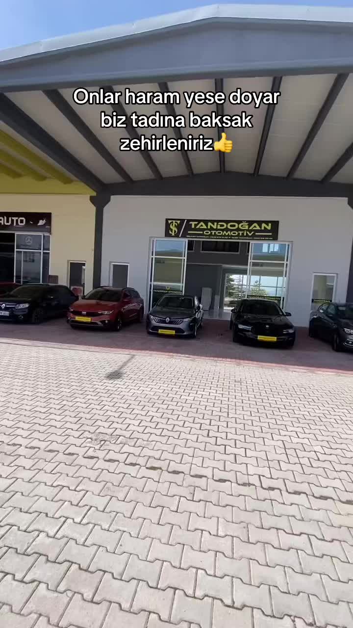 @yasintandogan44