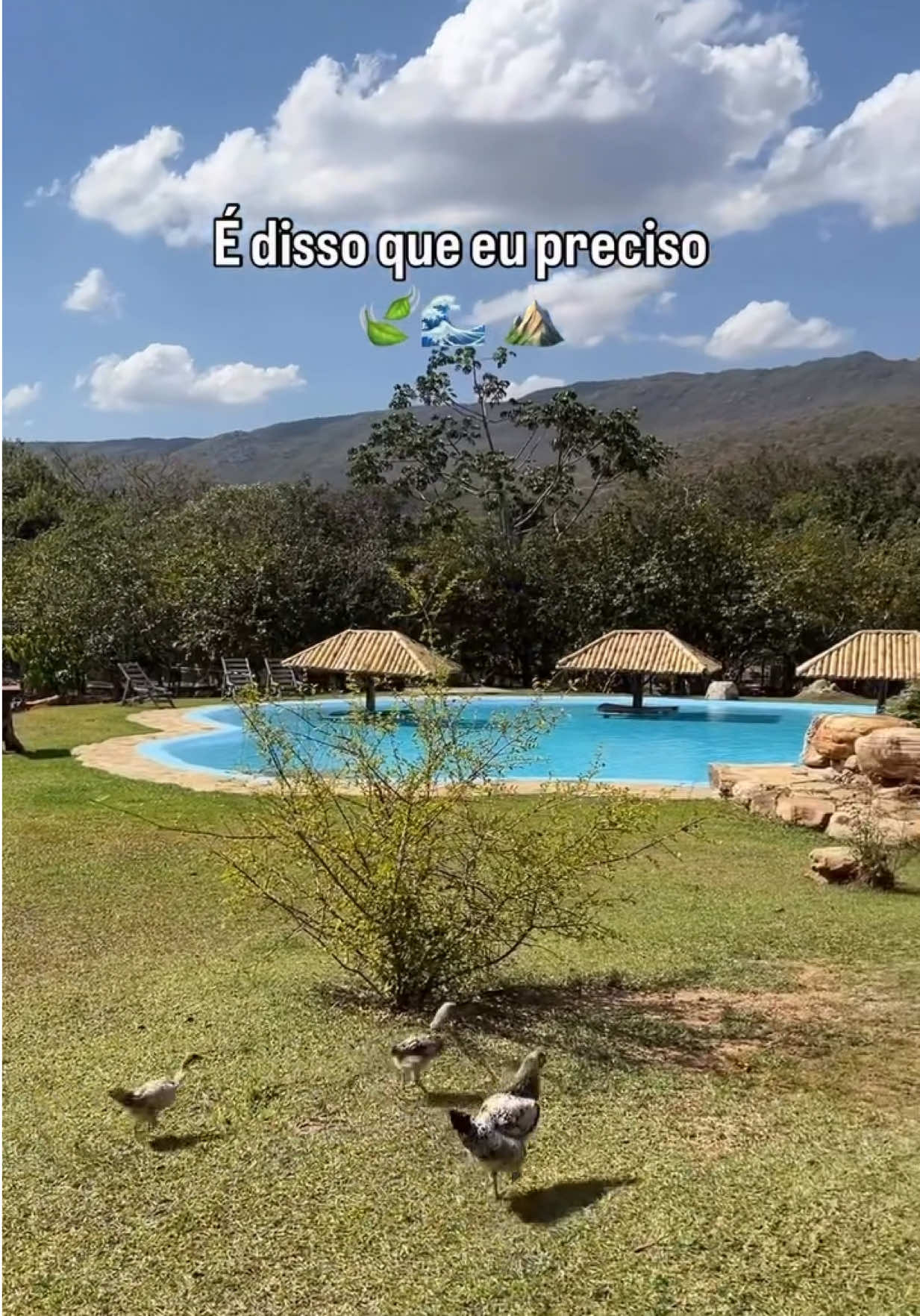 @Grazi na Estrada