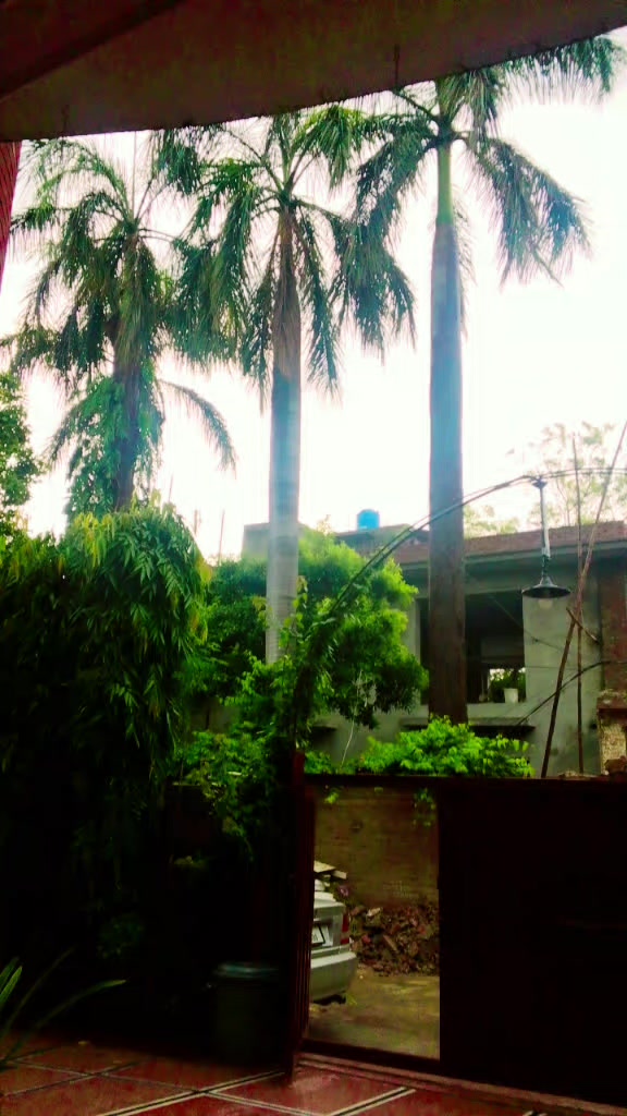 @Sanawa Sanwal