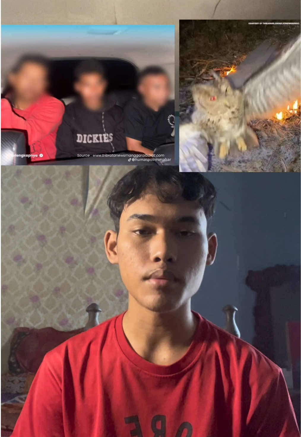 @syakurr
