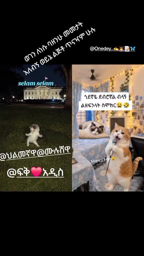 @selam selam