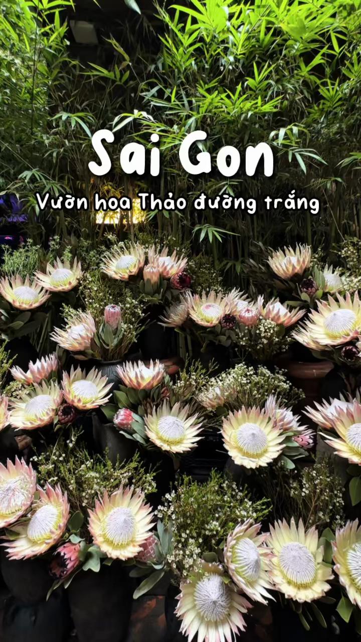 @1 ph&uacute;t S&agrave;i G&ograve;n