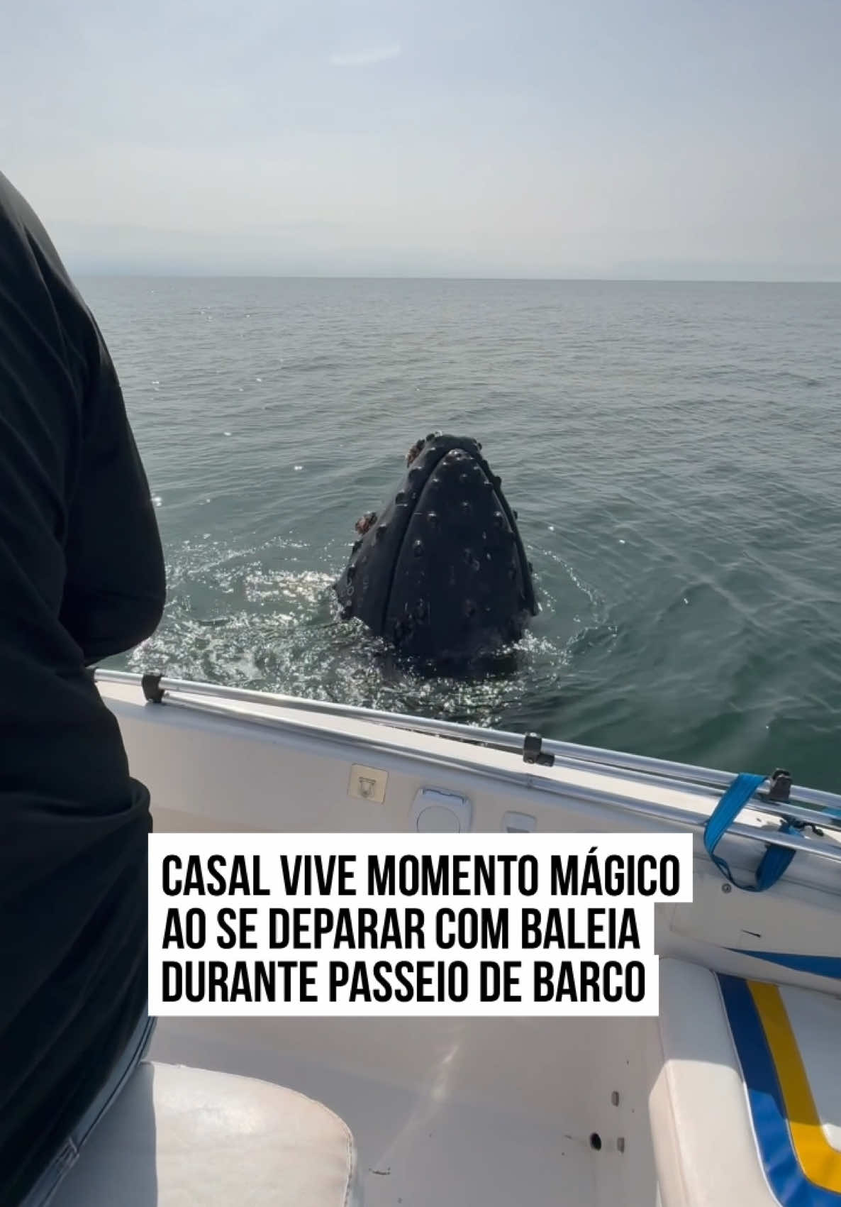@Metrópoles Oficial