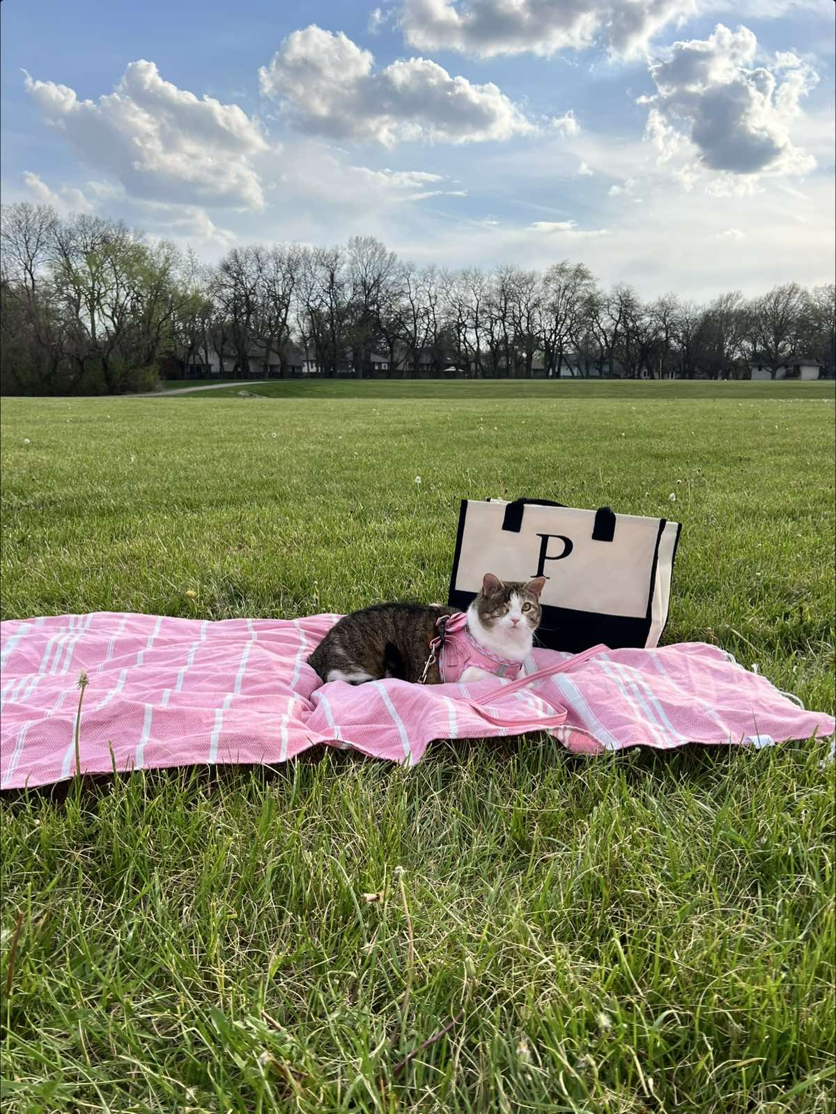 @Poppy🎀