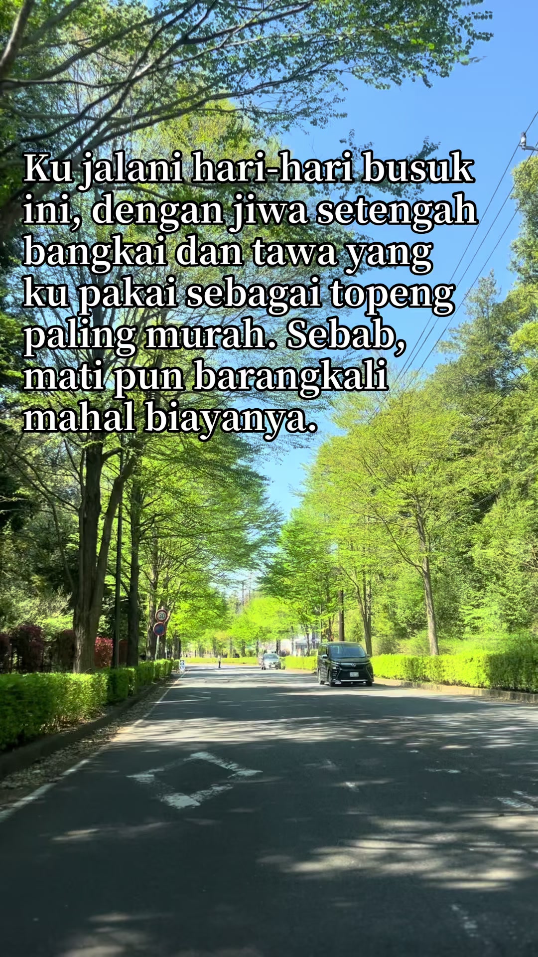 @Maicot