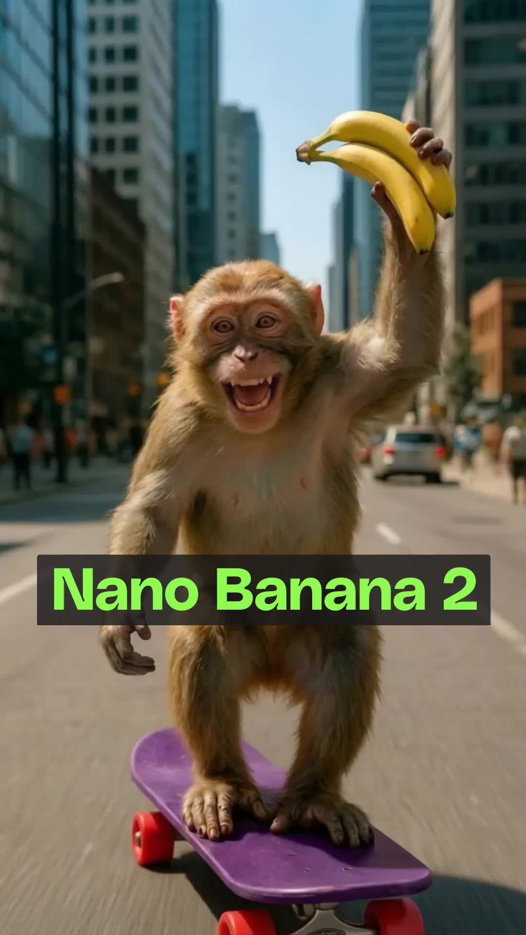 @Envato