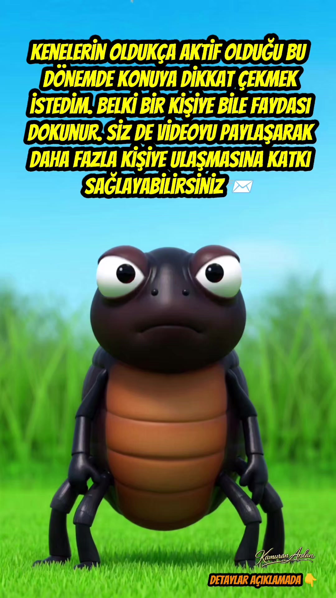 @Kamuran Arslan