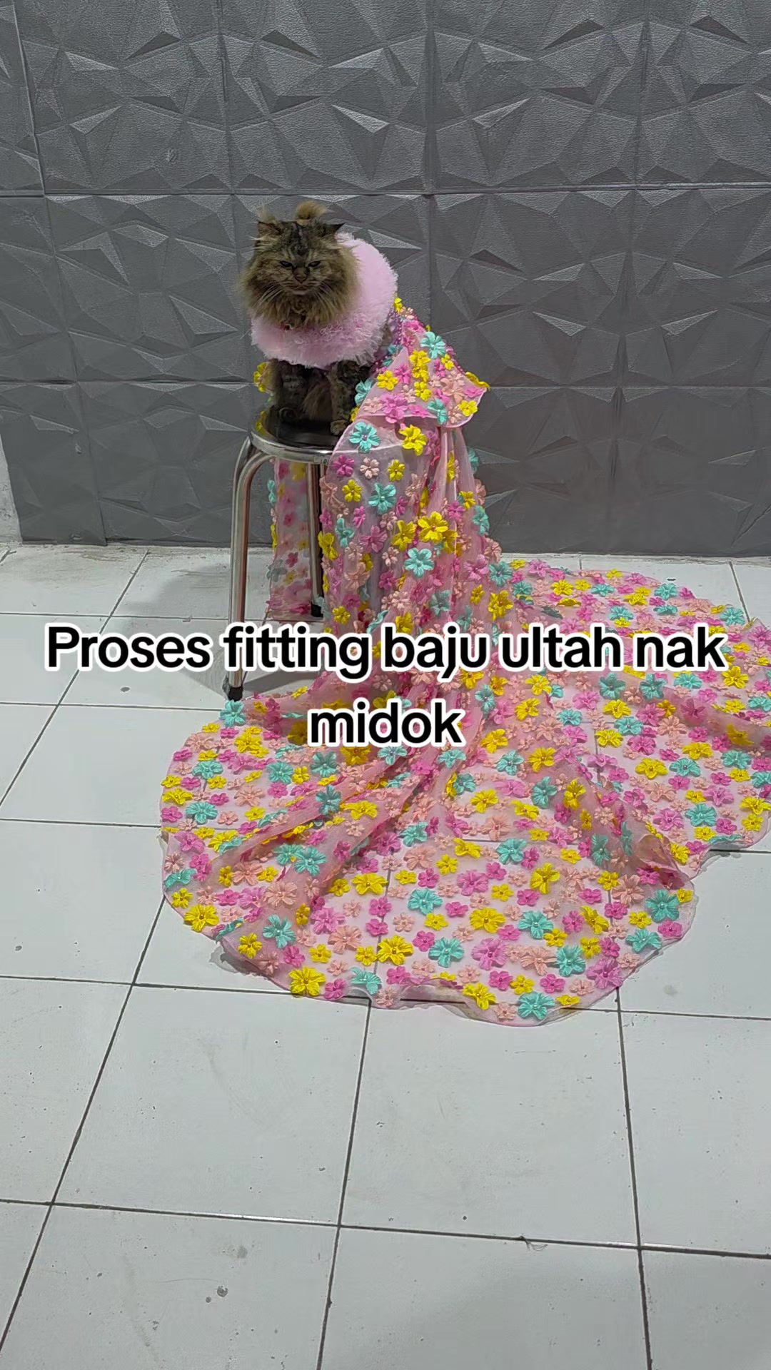 @Ayah Shepy