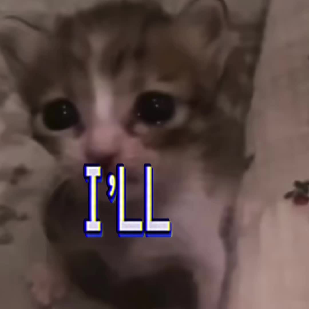 @ze66y