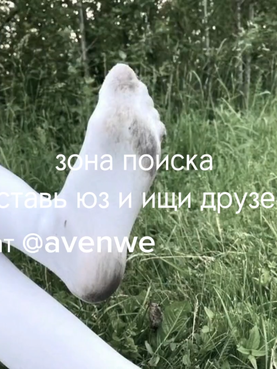 @avenew чат